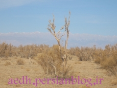 تاغستان