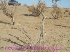 تاغستان