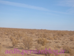 تاغستان_19