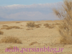 تاغستان