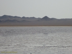 کویر حاج علی قلی 