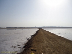 کویر حاج علی قلی 