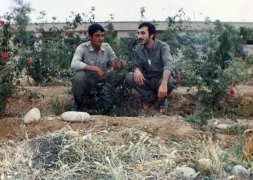 شهید محمد رضا واحدی