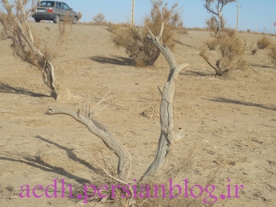تاغستان_14
