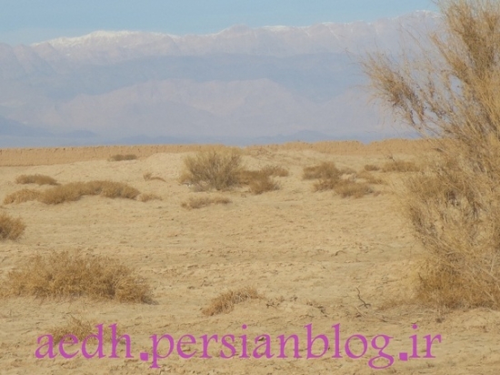 تاغستان_20