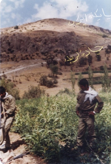 شهید سید حسن شاهچراغی(ف.سید علی)_89
